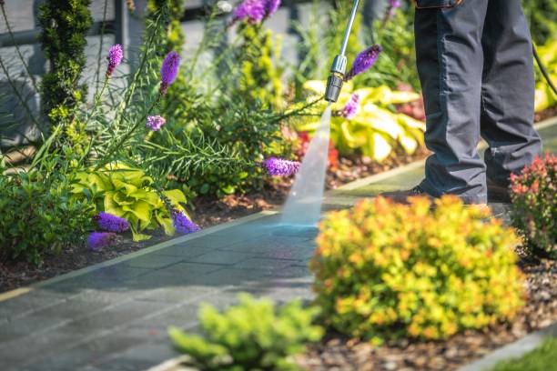 Tulare, CA Pressure Washing Services Company
